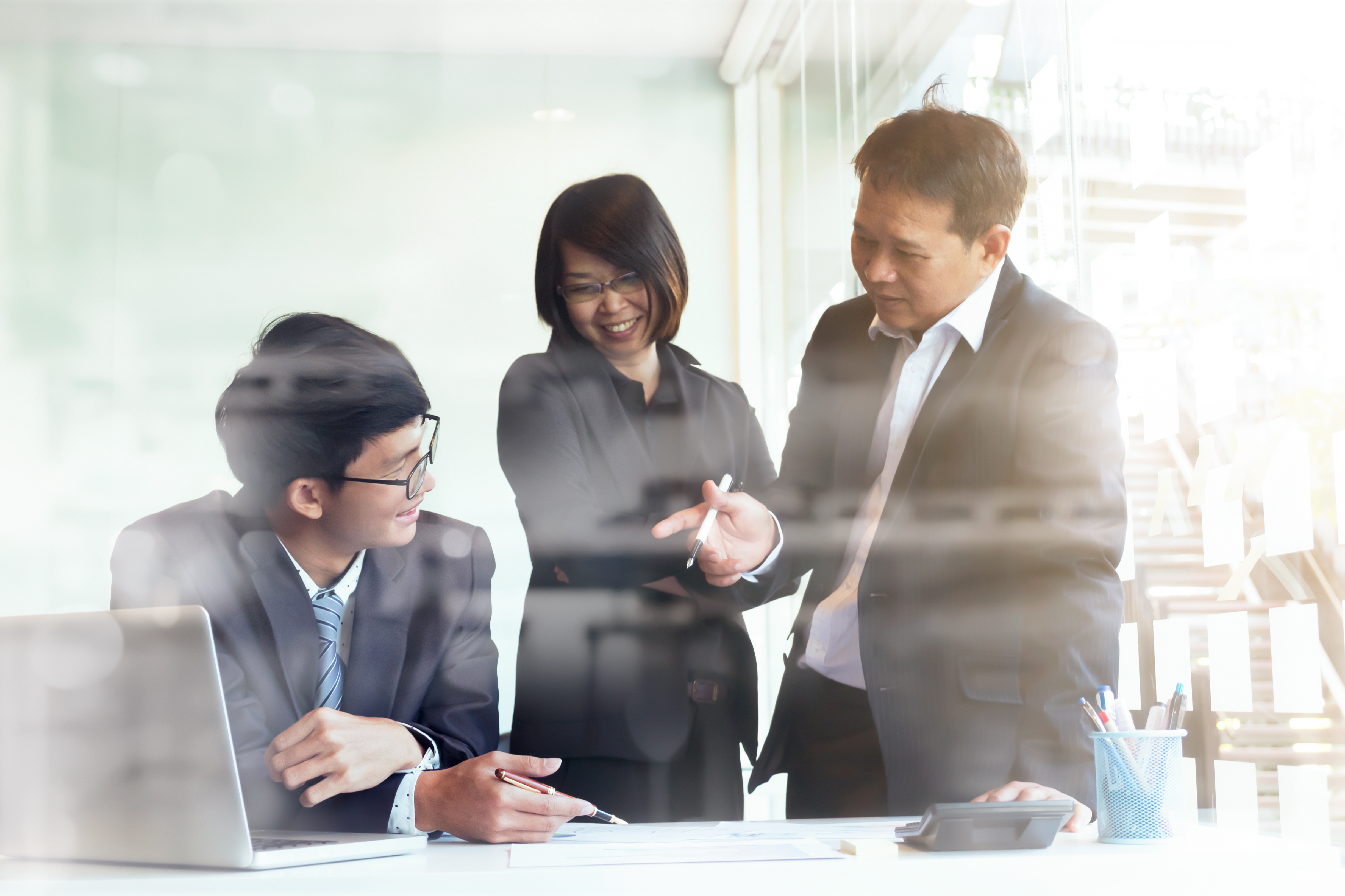 Professional team collaboration